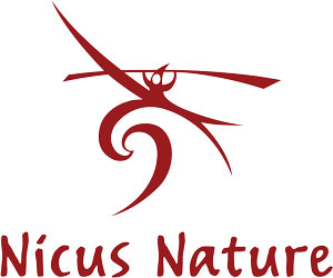 Nicus-logo-med-skrift_red